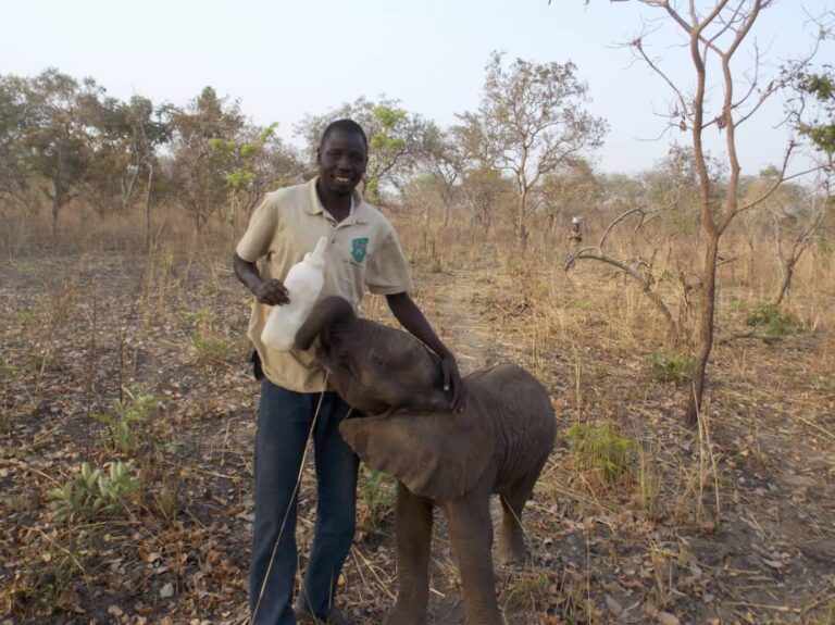 Anti poaching activities working closely with the Government of Chad and the Ministry of environment